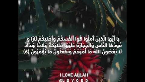 سورة التحريم ياسر الدوسري من الايه 4 الي 7 - سورة التحريم مكتوبة ياسر الدوسري