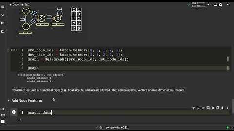 Adding and Accessing Node and Edge features to the Homogeneous Graphs in DGL