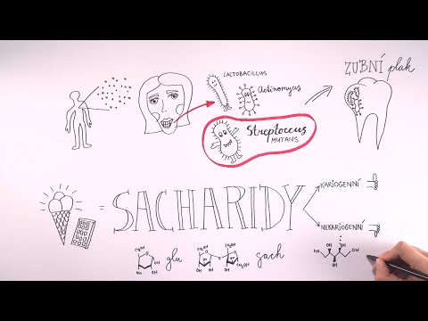 Video: Kde se v lidském těle nachází sacharóza?
