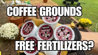 The Amazing Benefits of Coffee Grounds for Your Garden