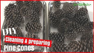 CHRISTMAS DIY DECOR | Cleaning & Preparing Pine Cones