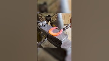 HORSE HOOF RECEIVES A NEEDED TRIM | Shoe Cleaning ASMR