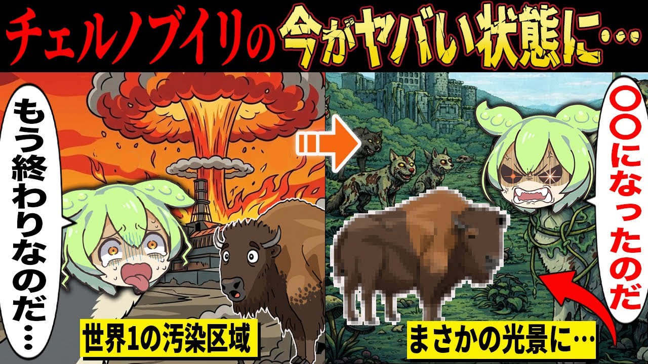 チェルノブイリ今がヤバイ状態になっていた…【ずんだもん＆ゆっくり解説】