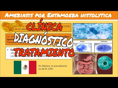 ⚕️🩺 Amebiasis por Entamoeba Histolytica: Síntomas, Diagnóstico y Tratamiento