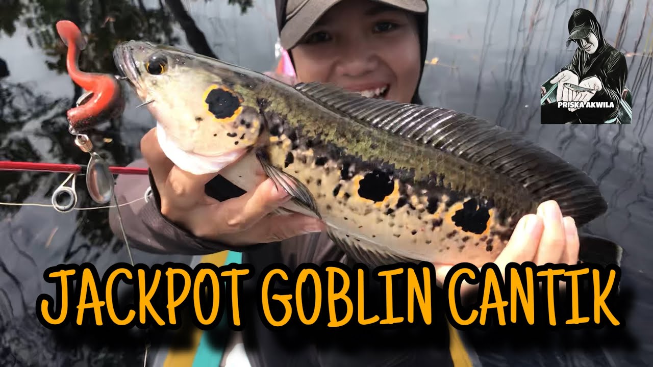 TRIP CASTING TOMAN BUNGA DI SEBANGAU NASIONAL PARK, MANCING LIAR SEPERTI DI KOLAM PRIBADI