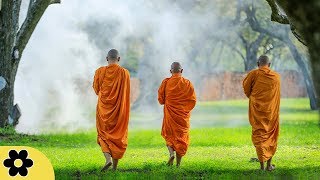 Tibetan Meditation Music, Meditation, Healing, Sleep, Chakra, Yoga, Spa, Study, Zen, Relax, ✿2991C