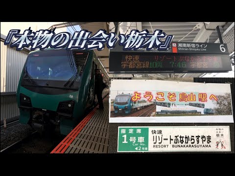 ＬＩＭＲＡ（リムラ）新販売シリーズ【全12巻】　リムラスクール日本同窓会 LIMRA（リムラ）新販売シリーズ【全12巻】 リムラスクール