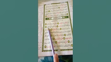 سورة القلم /بصوت القارئ مشاري العفاسي😘😍❤