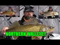 Manitoba Ice Walleye! | Ice Fishing the NORTH!
