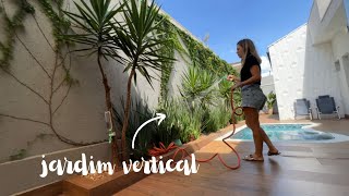 Tour pelos jardins em volta da minha casa - muros verdes 🏡💚