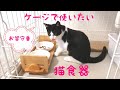 【はじめての猫食器】ゲージで使える高さ調節可能なお皿　#猫　#食器　#猫用品