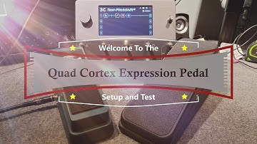 Quad Cortex Fun with Expression Pedals