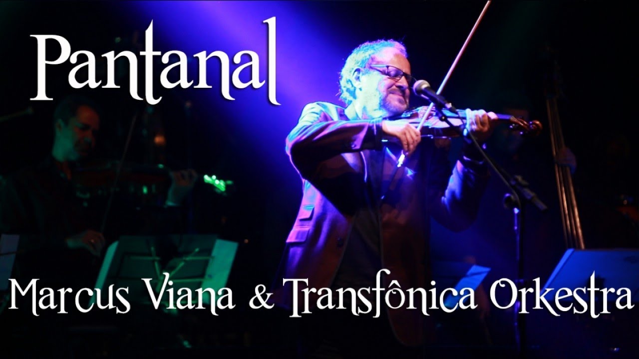 Marcus Viana - Pantanal - YouTube