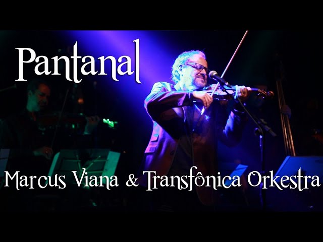 Marcus Viana - Pantanal (DVD Trilhas, Mantras e Canções) - YouTube