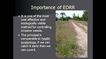 Early Detection Rapid Response - EDRR