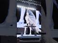 BAD ANGEL LISA FT ANYMA AT COACHELLA FESTIVAL Lisa Coachella 