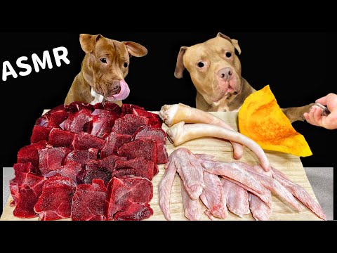 【犬のASMR】野菜と骨付き肉をバクバク食べるピットブルの咀嚼音