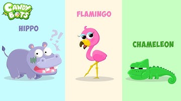 Candybots Animals - Learn name and animal sound - Apps for Kids