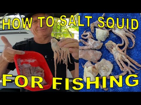 A step by step guide on how to salt pilchards for fishing bait - It's EASY  