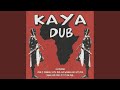 The Agrovators – Kaya Dub – Vinyl (LP, Album), 1978 [r4158060
