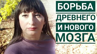 Рептильный & Новый мозг. Суть невроза