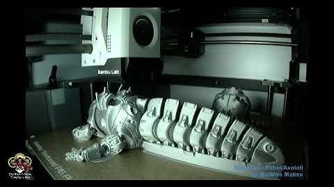 Time Lapse: RoboLotl - Robot Axolotl