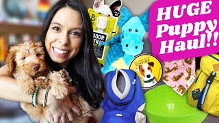 TOP PUPPY ESSENTIALS  What you need to prepare for a new puppy!