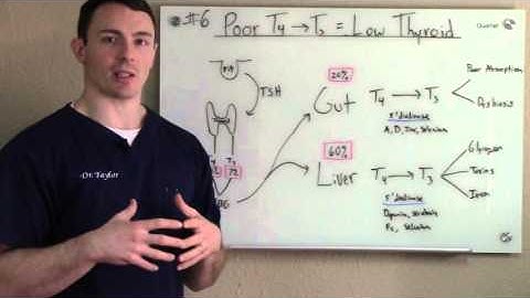 Reasons why you still have thyroid symptoms: #6 T4 to T3 Conversion issues