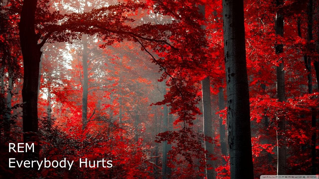 REM Everybody Hurts Lyrics YouTube
