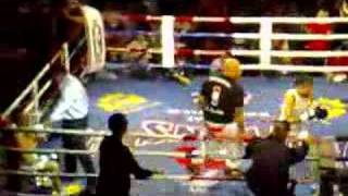 Germaine De Randamie Vs Tom Waes Part 3