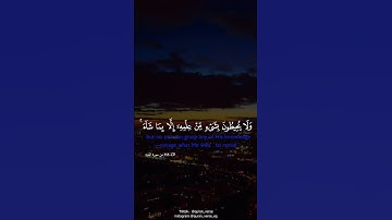 حالات واتساب دينية قرأن كريم - اية الكرسي عبدالله الموسي - تلاوة خاسعة