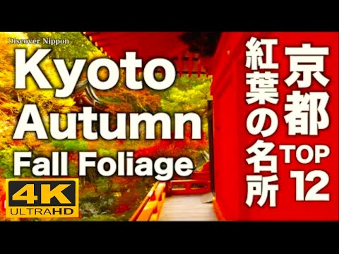 4K Kyoto Japan 秋の京都の紅葉名所TOP12 Autumn Leaves 京都 観光 旅行 Fall Foliage  Sightseeing Guide 嵐山 清水寺 永観堂 日本