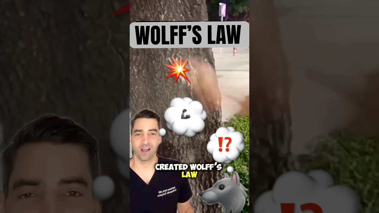 Wolff’s Law - Julius Wolff 