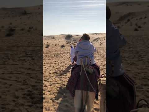 Riding Camels in the Dubai Desert Conservation Reserve