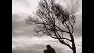 David Cook- 'Permanent'