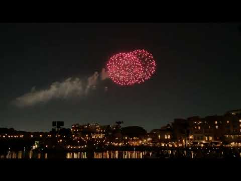 カラフルな花火が夜空に輝く！東京ディズニーリゾート40周年記念花火「スカイ・フル・オブ・カラーズ」