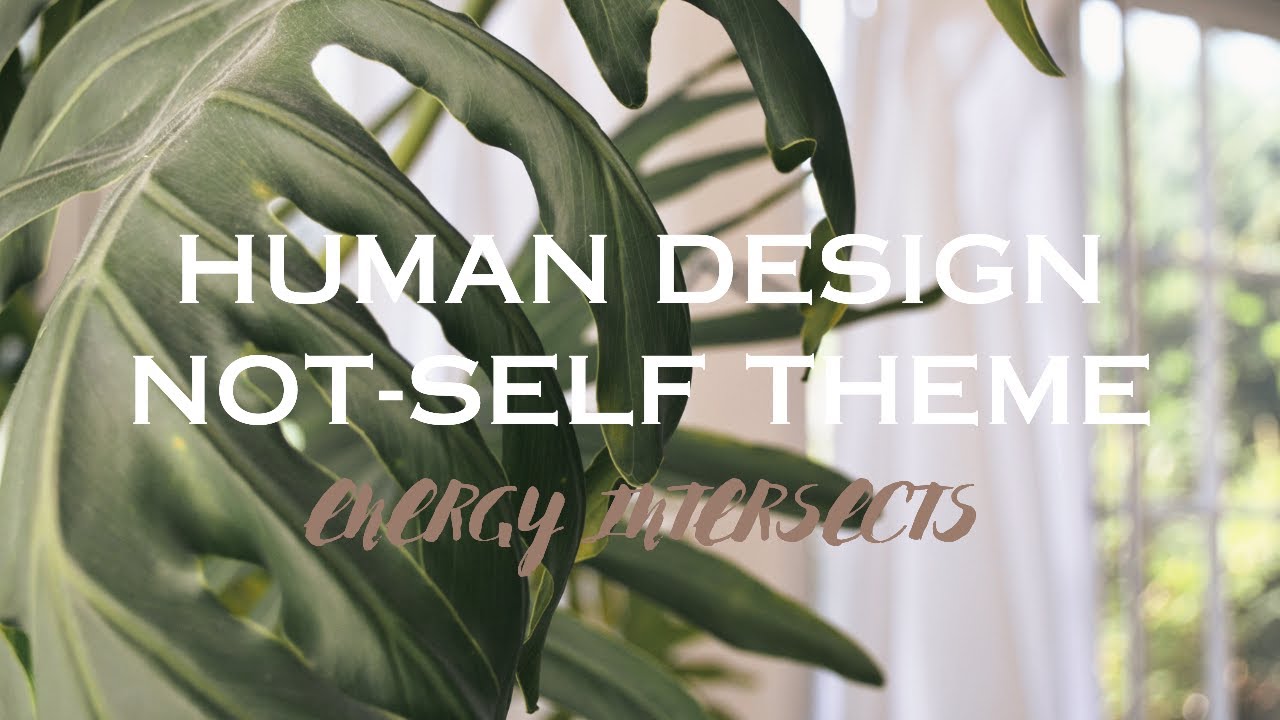 Human Design Not Self Theme YouTube