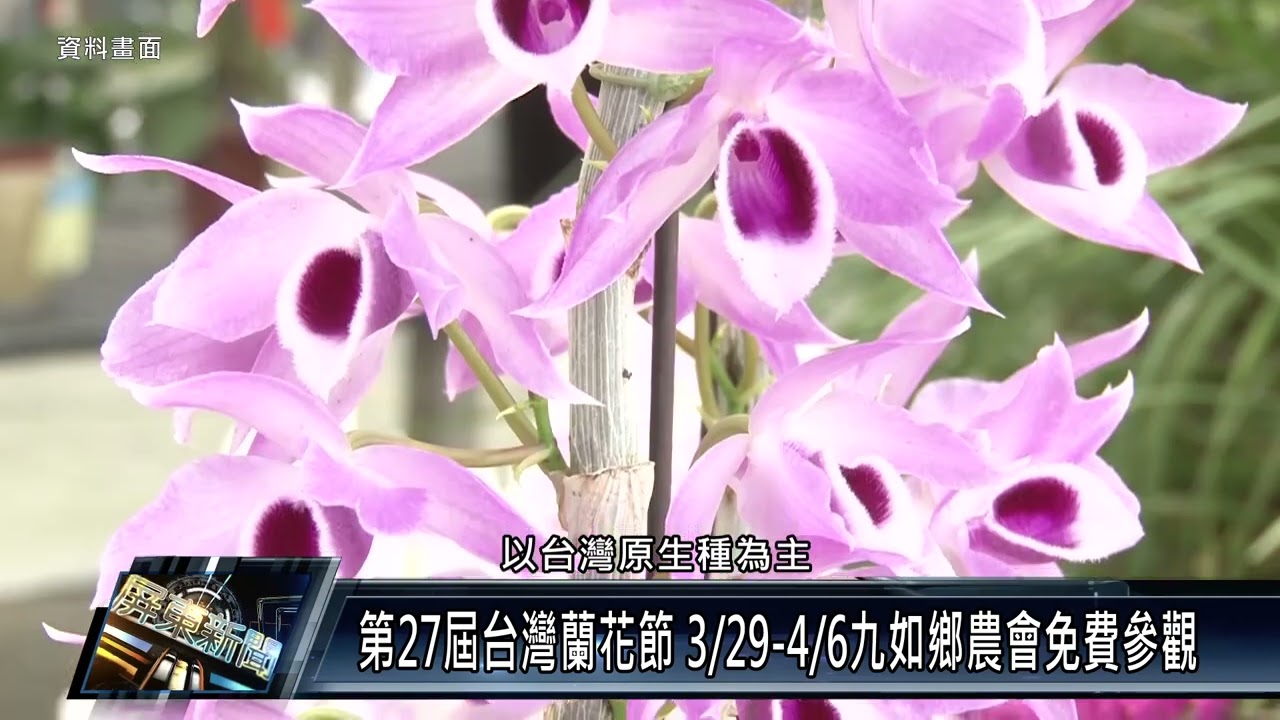 第27屆台灣蘭花節 3/29至4/6九如鄉農會免費參觀