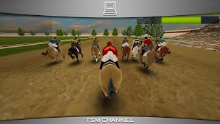 Race Horses Champions (part 2) (Horse Game) screenshot 5