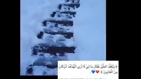 تلاوة رائعة بصوت رائع /ماشاء الله تبارك الرحمن