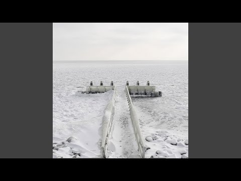 Silent Harbour — Draft