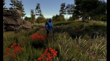 Gaia and Invector TPC