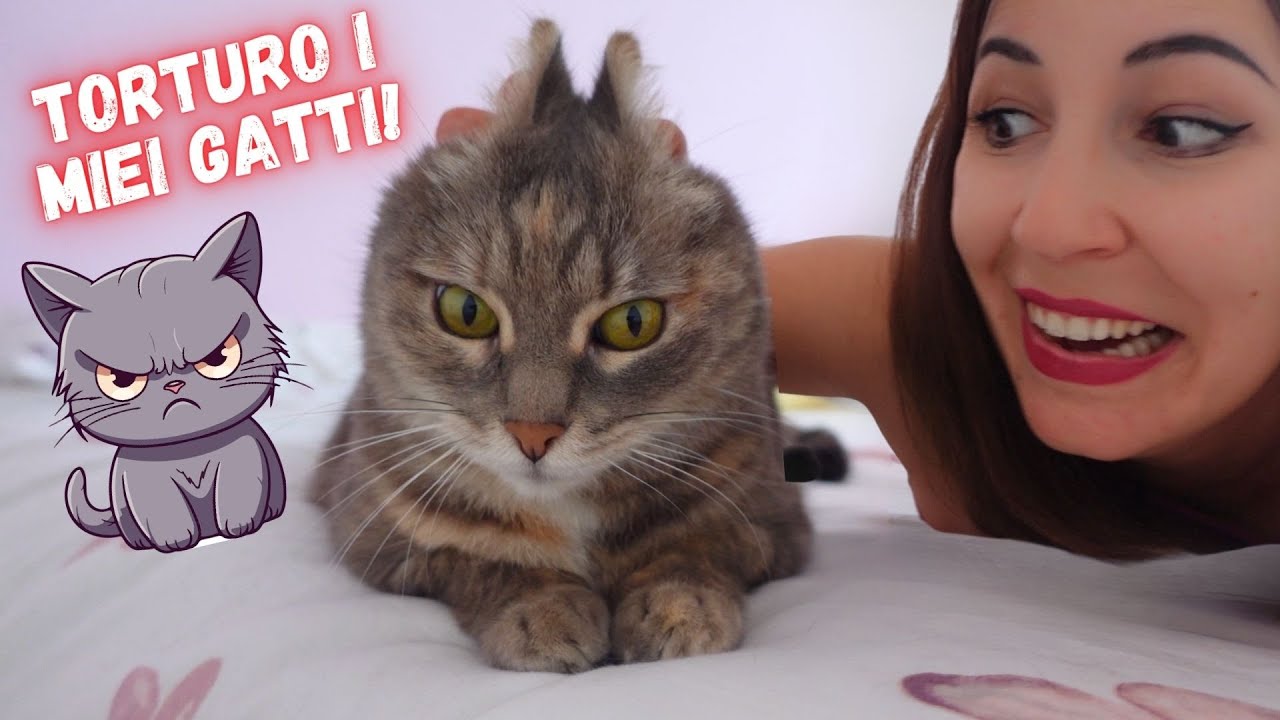 TORTURO I MIEI GATTI PER 24 ORE! stress test gatti