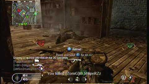 Last Days of CoD4: The Arts