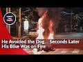 Motorcycle Bursts Into Flames After Rider Swerves to Avoid Dog in Bangkok