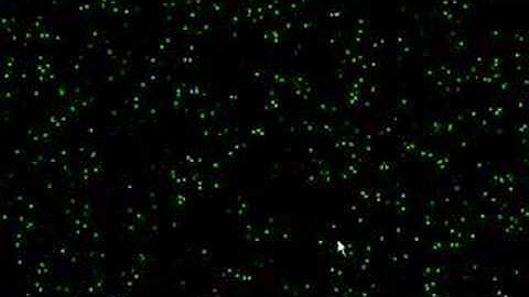 Random Image Generator