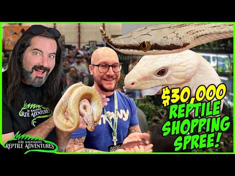 Kc Reptile Expo