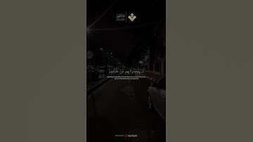 فرحين بما آتاهم الله من فضله  || من سورة آل عمران | محمد صديق #المنشاوي #quran