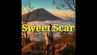Weird Genius - Sweet Scar (ft. Prince Husein)//Literasi