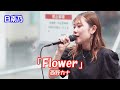 【歌ってみた】 日南乃さん 西野カナ「Flower」路上ライブ